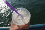 2011-06-12_17-42-07_DSC_1122.jpg