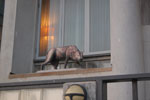 2011-06-12_20-14-57_DSC_1380.jpg