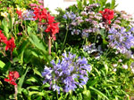 2011-06-13_17-25-07_DSCF4718.jpg