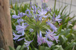 2011-06-13_19-27-10_DSC_1442.jpg