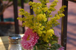 2011-06-14_15-31-13_DSC_1478.jpg