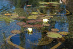 2011-06-14_16-15-45_DSC_1498.jpg