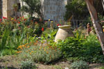 2011-06-14_16-20-29_DSC_1515.jpg