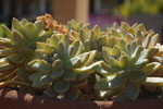 2011-06-14_16-35-57_DSC_1542.jpg