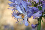 2011-06-14_16-42-28_DSC_1573.jpg