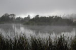 2011-06-14_18-34-11_DSC_1690.jpg