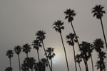 2011-06-14_18-57-31_DSC_1736.jpg