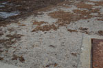 2011-06-14_19-29-46_DSC_1783.jpg