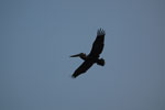 2011-06-14_19-42-55_DSC_1799.jpg