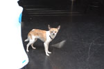 2011-06-18_15-23-41_DSC_1922.jpg