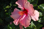 2011-06-18_17-40-23_DSC_2018.jpg