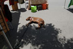 2011-06-19_12-45-28_DSC_2108.jpg