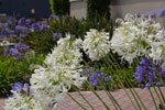 2011-06-19_14-11-03_DSC_2131.jpg