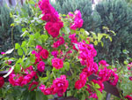 2011-06-23_18-47-16_IMGP2454.jpg