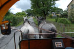 2011-06-26_11-39-05_DSC_2297.jpg