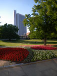 2011-06-27_19-08-43_IMGP2485.jpg