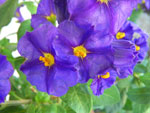 2011-06-28_12-21-11_IMGP2492.jpg