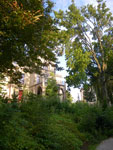 2011-07-06_19-22-47_IMGP2969.jpg