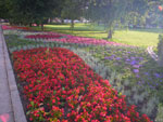2011-07-06_19-29-03_IMGP2971.jpg
