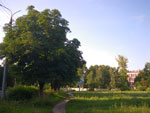 2011-07-14_19-22-06_IMGP3227.jpg
