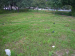 2011-07-15_13-59-26_IMGP3247.jpg