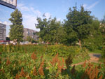 2011-07-18_19-21-38_IMGP3361.jpg