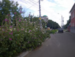2011-07-21_19-15-12_IMGP3432.jpg