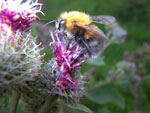 2011-07-25_19-20-36_IMGP3559.jpg