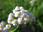 2011-07-25_19-31-07_IMGP3566.jpg