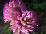2011-07-25_19-32-14_IMGP3569.jpg