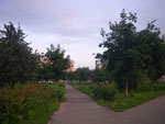 2011-07-28_21-09-14_IMGP3620.jpg