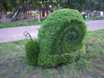 2011-07-30_20-00-55_IMGP3754.jpg