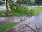 2011-08-04_13-58-57_IMGP3832.jpg