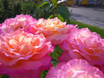 2011-08-06_16-44-56_IMGP3990.jpg