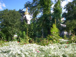 2011-08-06_17-24-49_IMGP4021.jpg