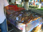 2011-08-09_13-50-35_IMGP4295.jpg
