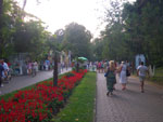 2011-08-10_18-11-39_IMGP4371.jpg