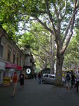 2011-08-11_18-03-36_IMGP4399.jpg