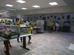 2011-08-11_19-16-49_IMGP4470.jpg