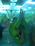 2011-08-11_19-30-45_IMGP4476.jpg