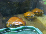 2011-08-11_19-31-34_IMGP4479.jpg
