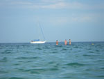 Photos