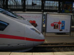 2011-08-18_12-33-18_IMGP4960.jpg