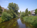 2011-08-18_15-11-42_IMGP4983.jpg