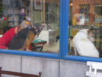 2011-08-20_16-44-59_IMGP5231.jpg