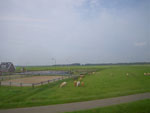 2011-08-21_15-57-25_IMGP5290.jpg