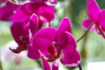 2011-08-23_14-54-49_DSC_2466.jpg