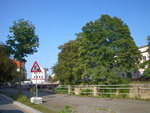 2011-08-25_16-52-32_IMGP5501.jpg