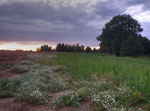 Photos