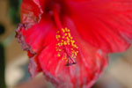 2011-08-30_16-13-15_DSC_2509.jpg